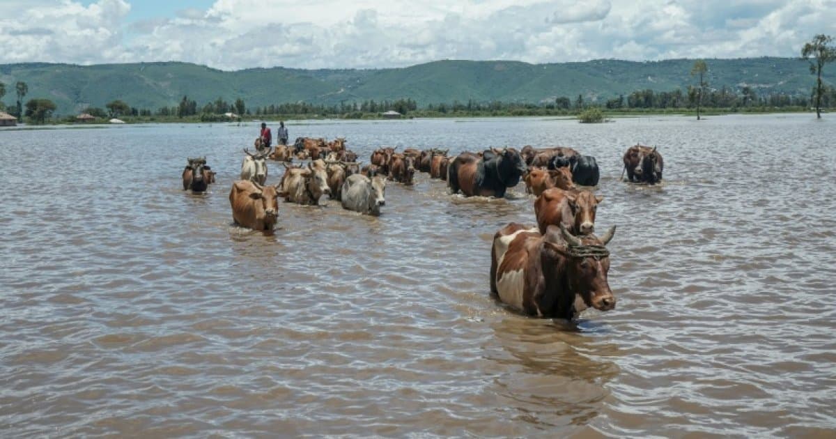 Kenya : 81 morts dans les pluies, l'Afrique face au dérèglement climatique