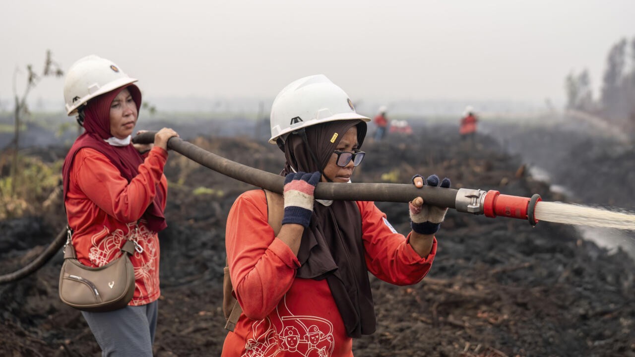 Bornéo : les « Mamas » indonésiennes, sentinelles des forêts contre le feu et les préjugés