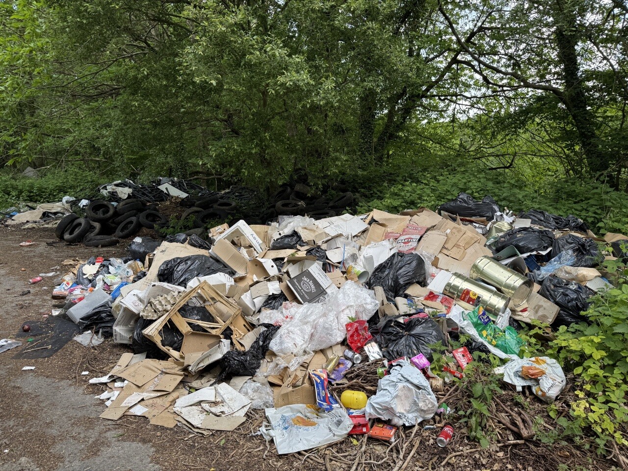 Gestion des déchets : leçons européennes pour l'Afrique